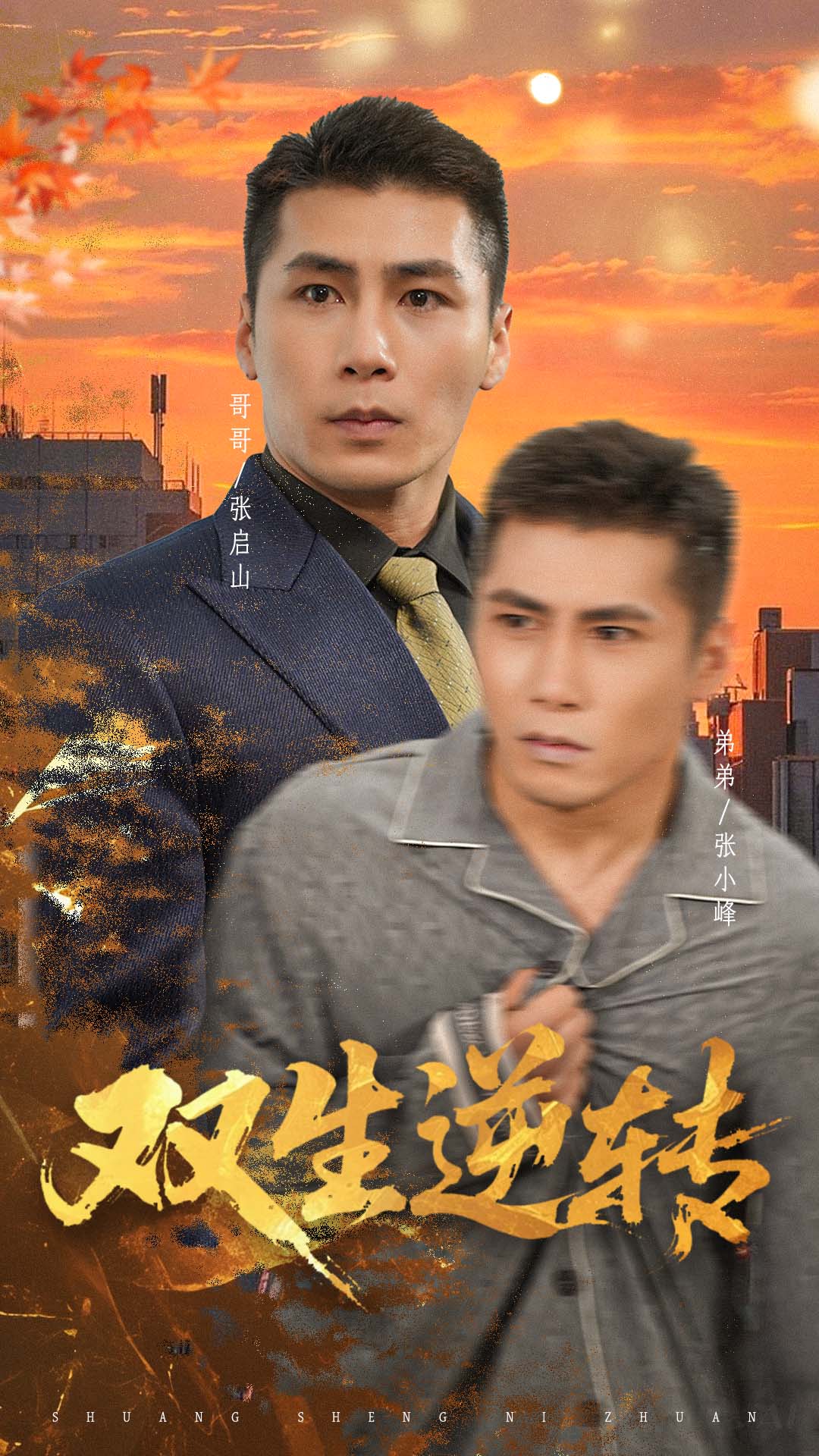 双生逆转$王妍  第1张