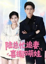 短剧《陆总忙追妻，喜提四萌娃/陆总忙追妻喜提四萌娃$杨晓婷》