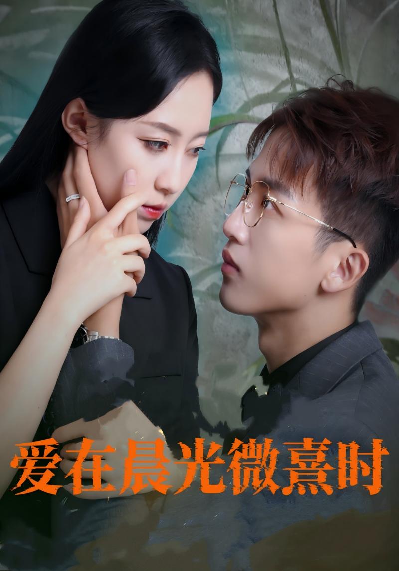 爱在晨光微熹时$沈时晏$夏星光  第1张