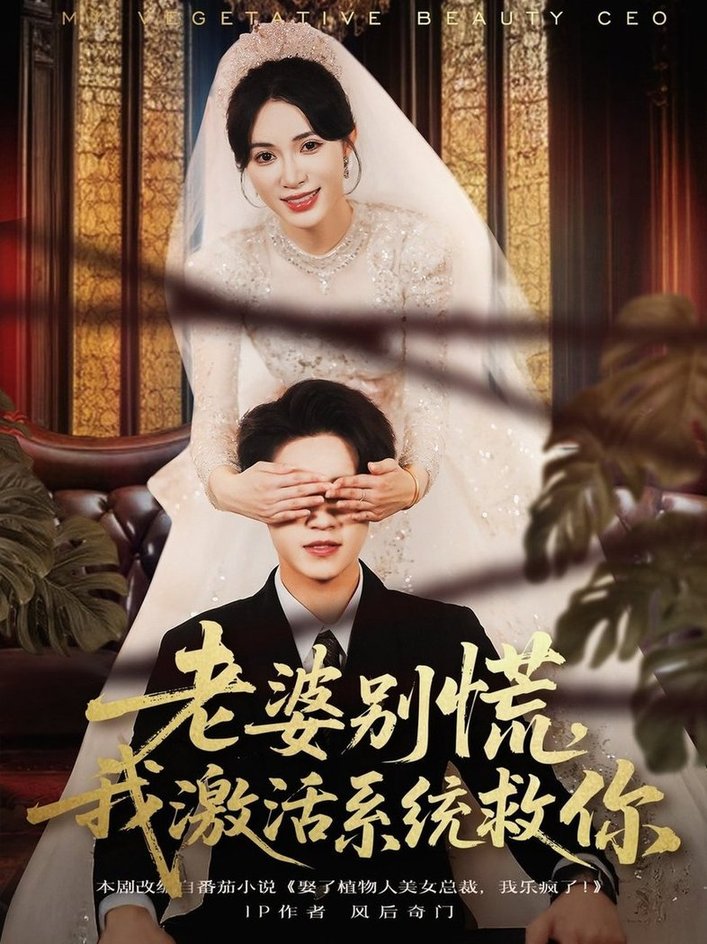 短剧《老婆别慌，我激活系统救你$孙航＆柯珂》