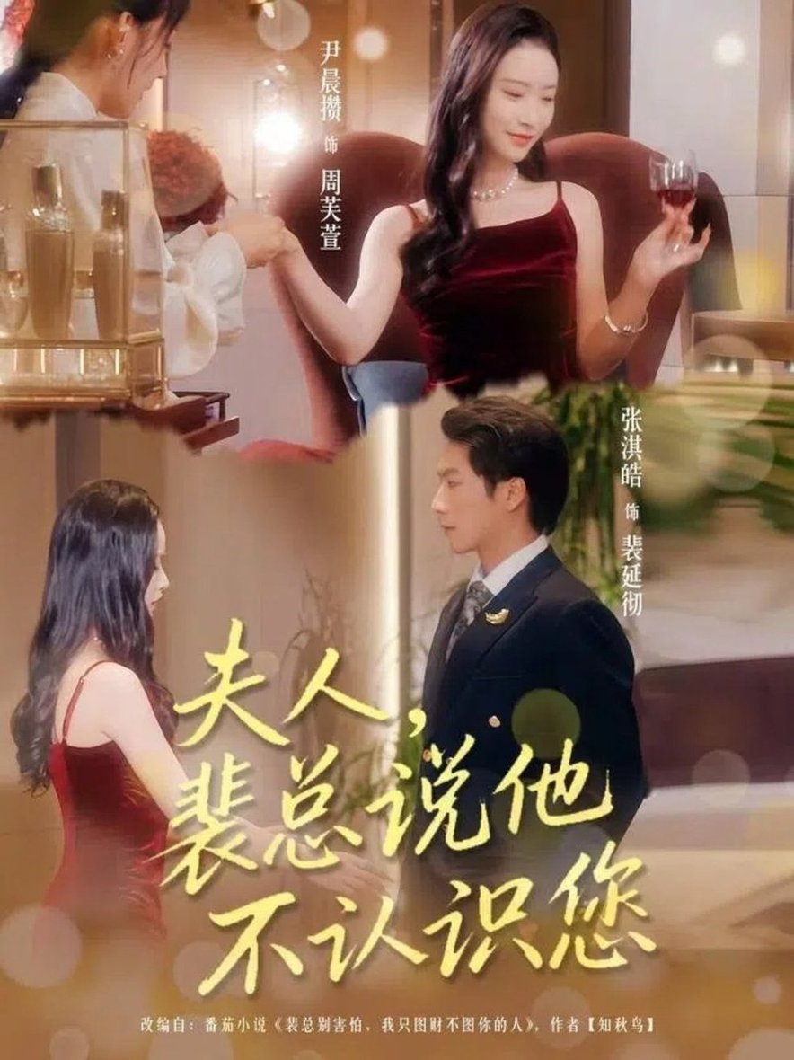 夫人裴总说他不认识您$张淇皓/尹晨攒  第1张