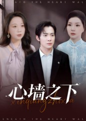 心墙之下$赵宏甲/郑抒淼  第1张