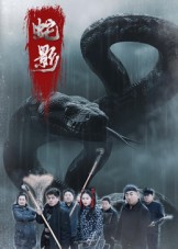 蛇影$刘灵/闫一英  第1张