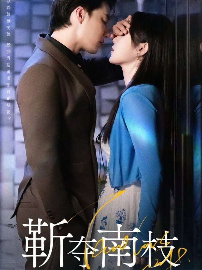 靳夺南枝＆甜欲肆吻$杜亚飞＆刘夕语  第1张