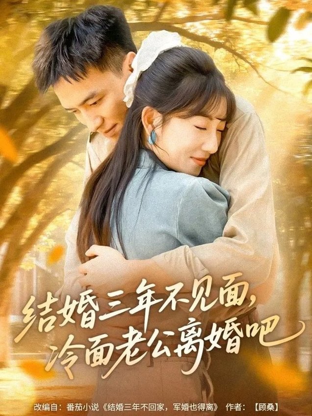 短剧《结婚三年不见面，冷面老公离婚吧$刘乂宇＆孙丛珊》