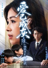 爱已成灰,陈小姐放手不再回头$胡宏林