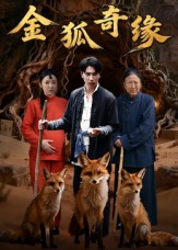 金狐奇缘$李图图/张旭