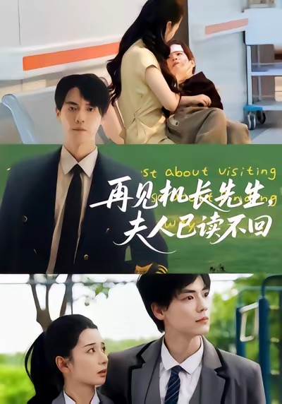 短剧《再见机长先生夫人已读不回$杰士鸣/侯梦瑶》