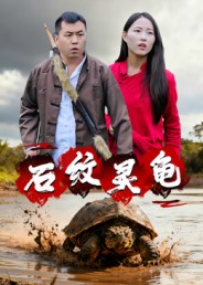 短剧《石纹灵龟$王浩/刘灵》