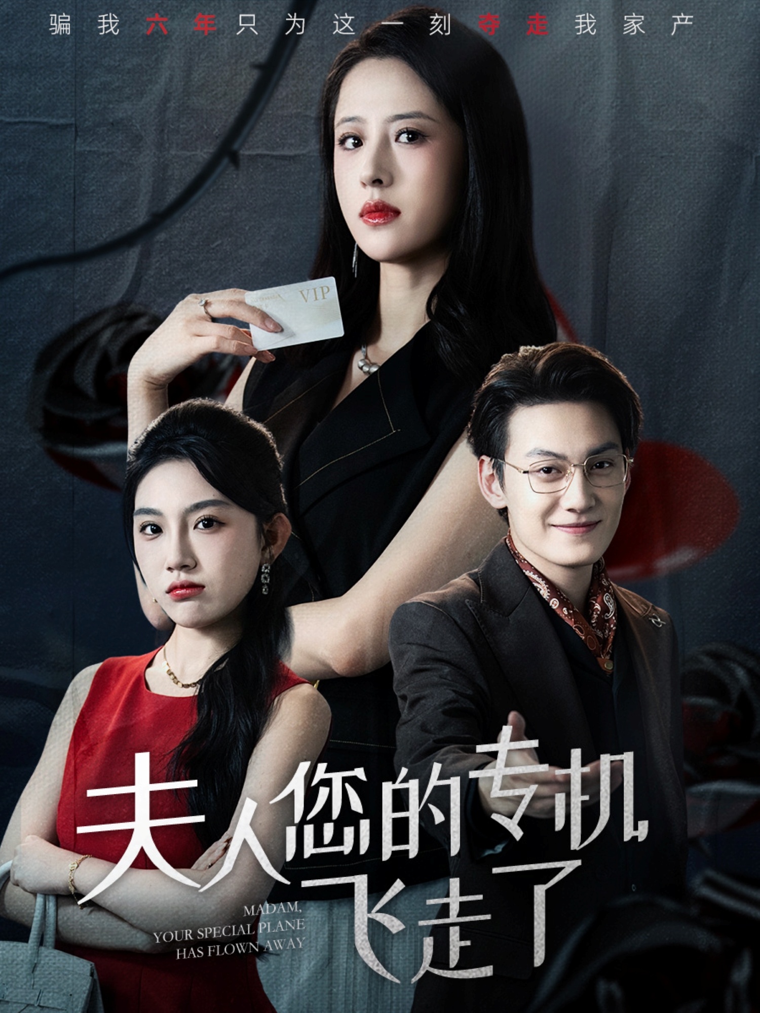 夫人您的专机飞走了$王婧琦/陈泓龙