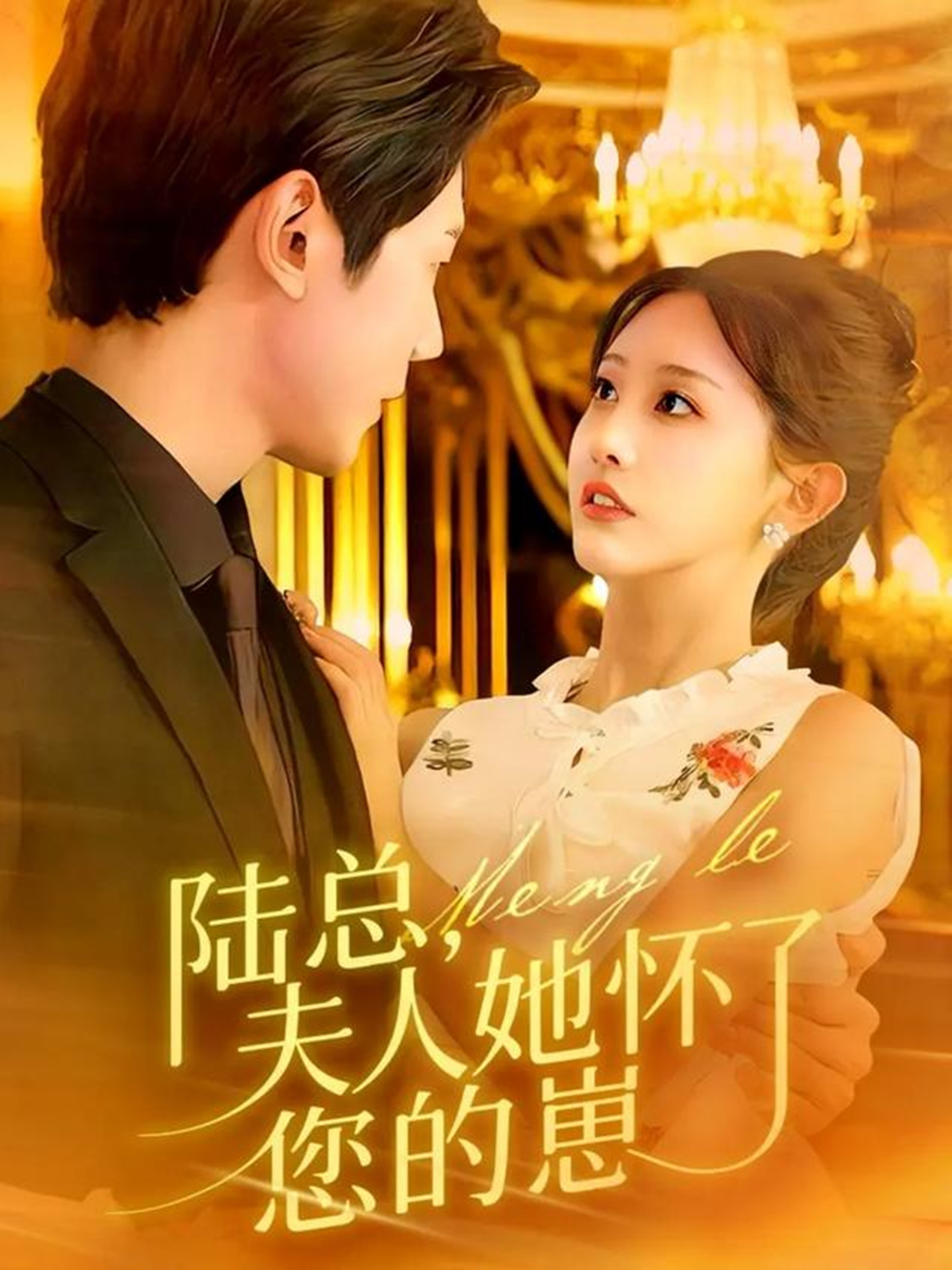 陆总，夫人她怀了您的崽$何连飞＆李艾笑