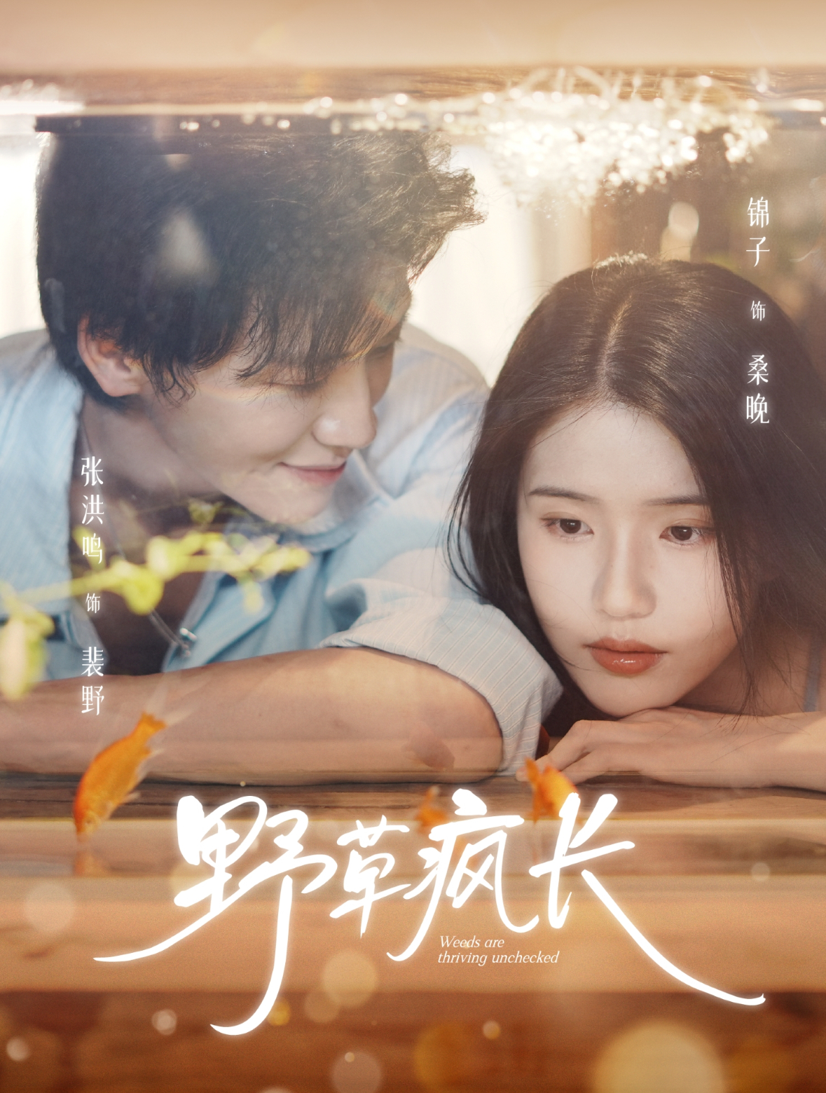 野草疯长$张洪鸣＆锦子