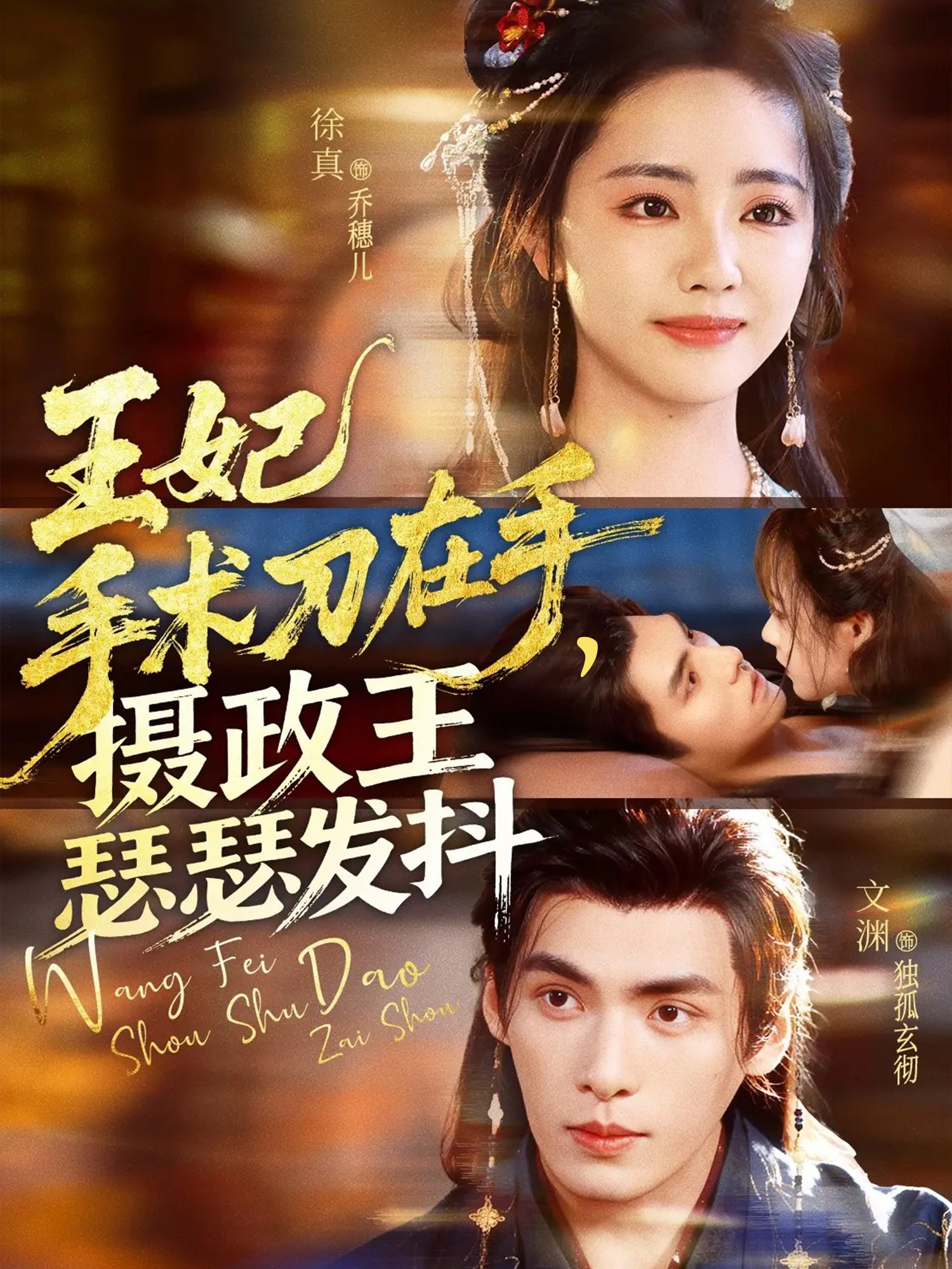 王妃手术刀在手摄政王瑟瑟发抖$徐真/文渊