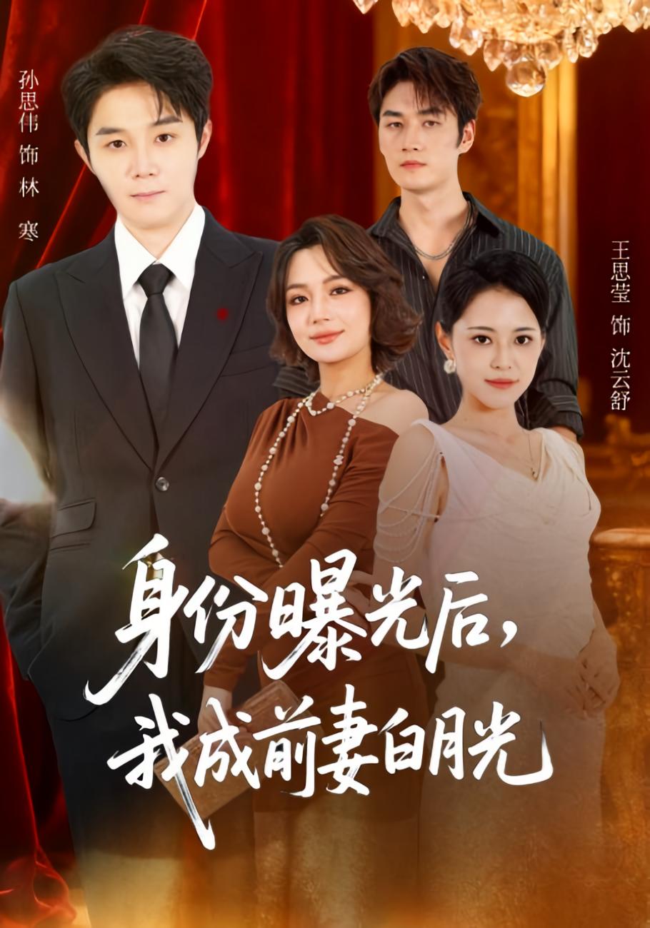 身份曝光后，我成前妻白月光/隐婚三年，我让前妻高攀不起