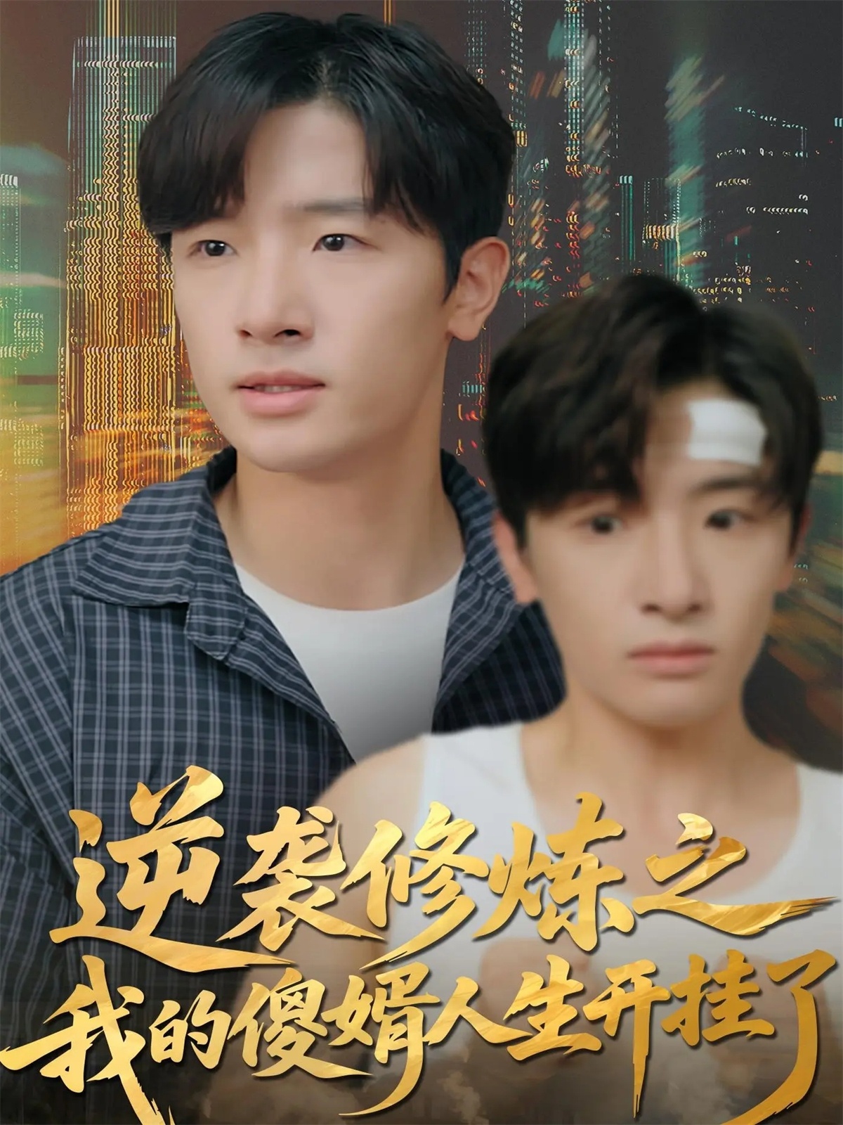 逆袭修炼之我的傻婿人生开挂了$陈梓龙＆刘梦杰