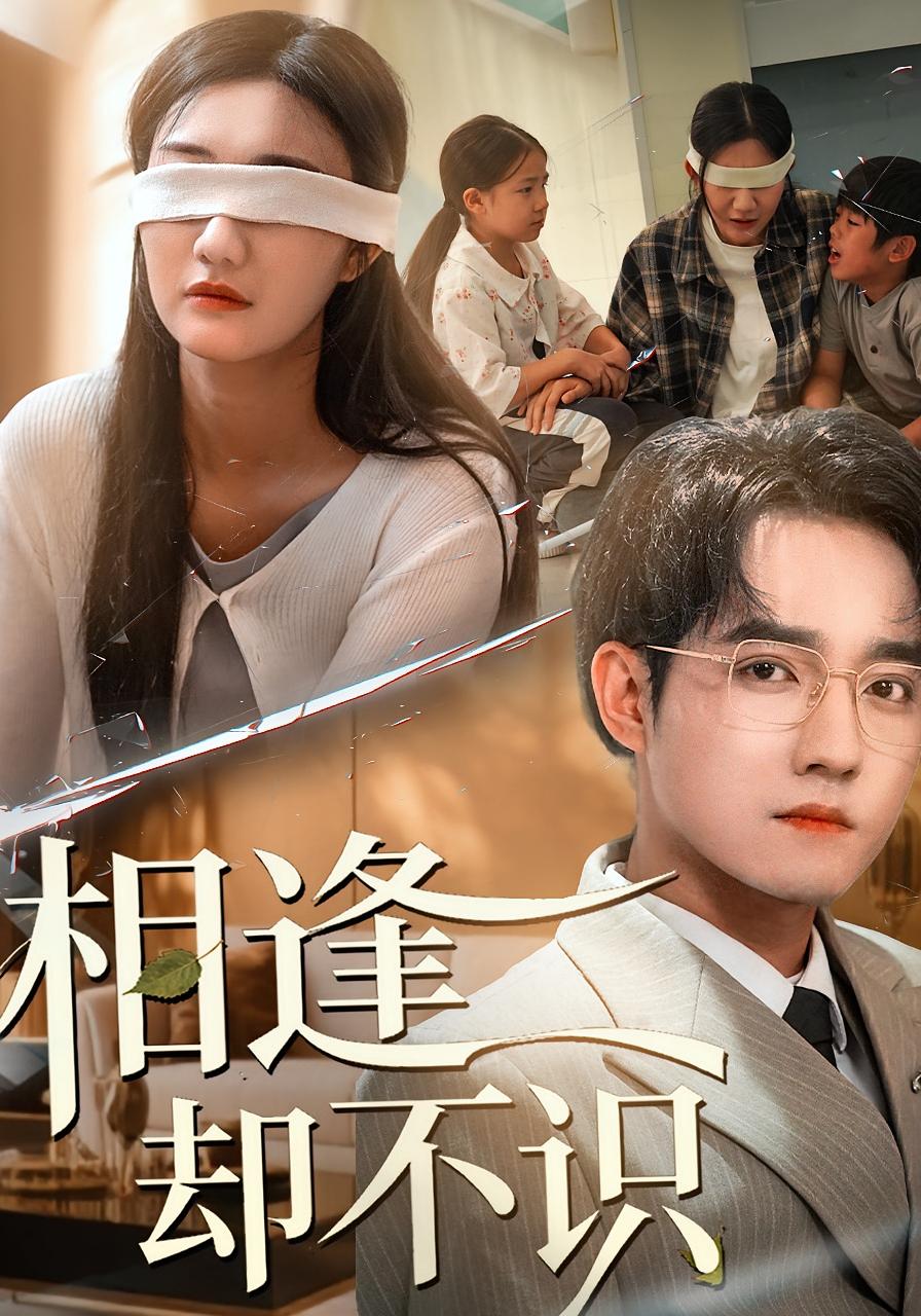 相逢却不识$刘静阳/程汁