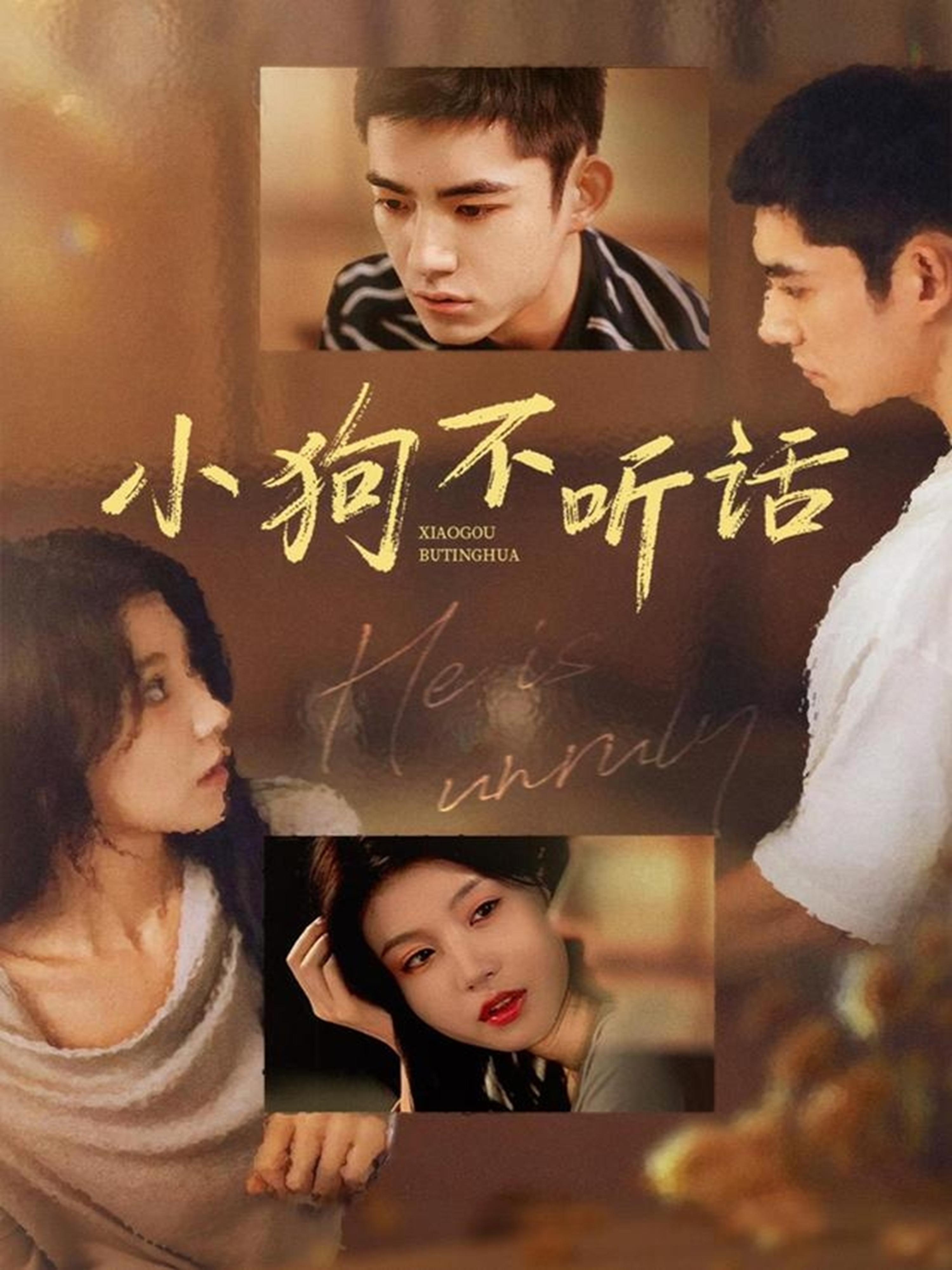 小狗不听话$马浩东＆何田田