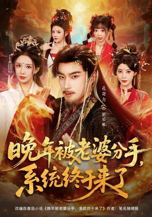 晚年被老婆分手，系统终于来了$李若希/孔奇力