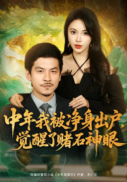 中年我被净身出户，觉醒了赌石神眼$柯珂/王辉