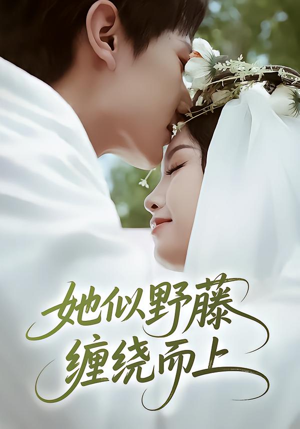 她似野藤，缠绕而上$万烽/李文茹