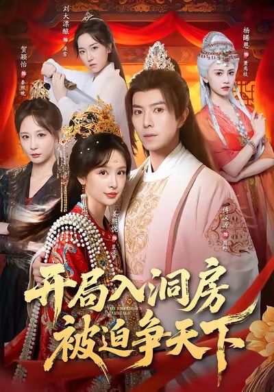 开局入洞房，被迫争天下$傅汉源＆姜熙饶