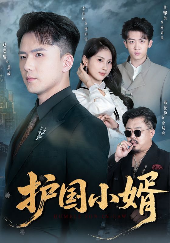 护国小婿$李佳轩/赵志盟