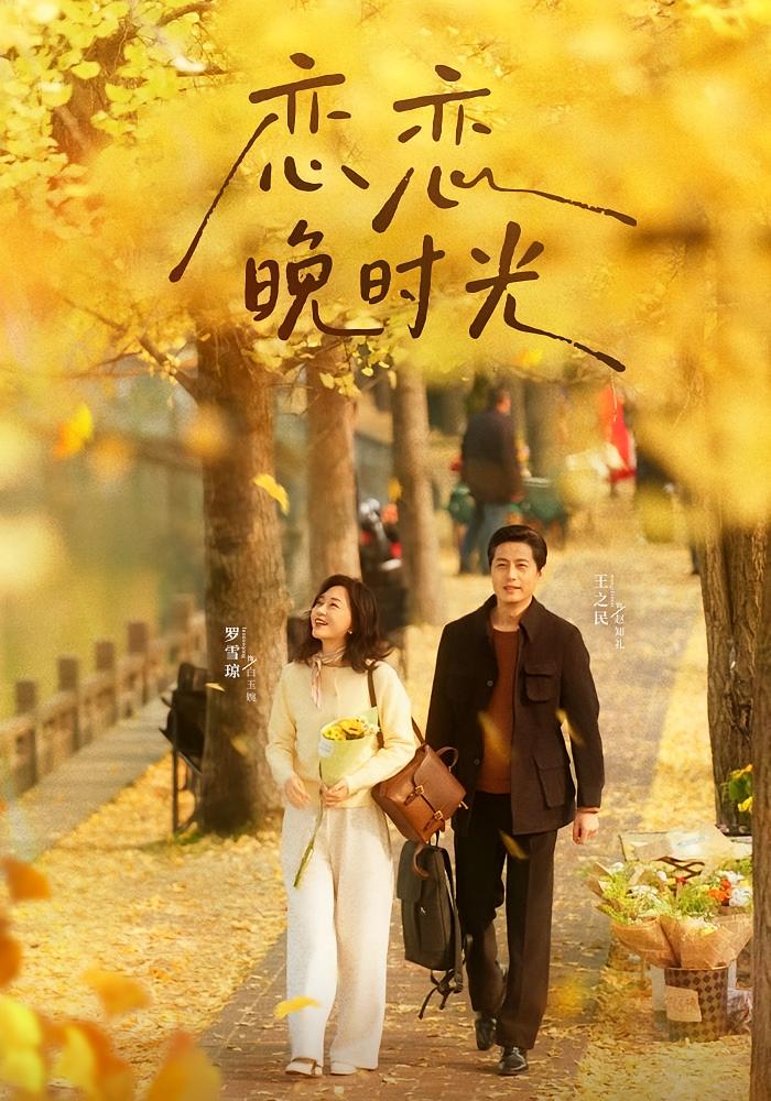 恋恋晚时光$王之民/罗雪琼