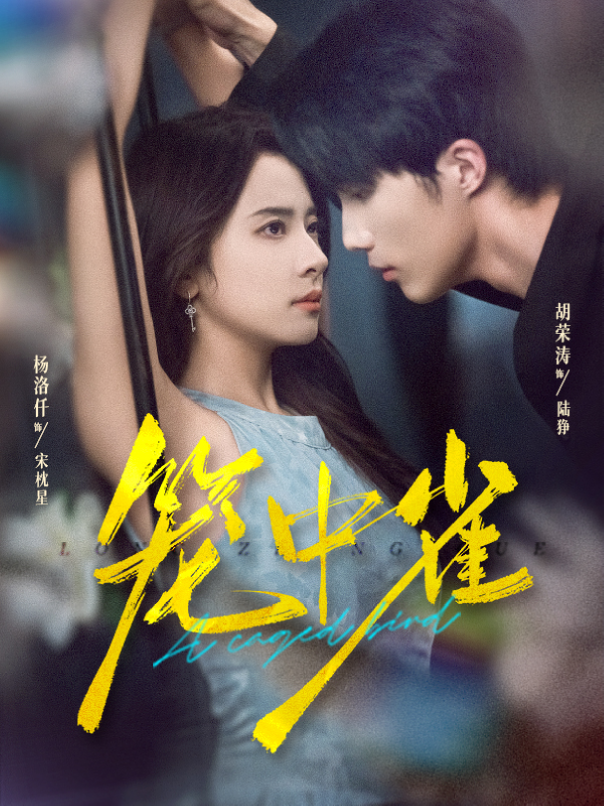 笼中雀$胡荣涛＆杨洛仟