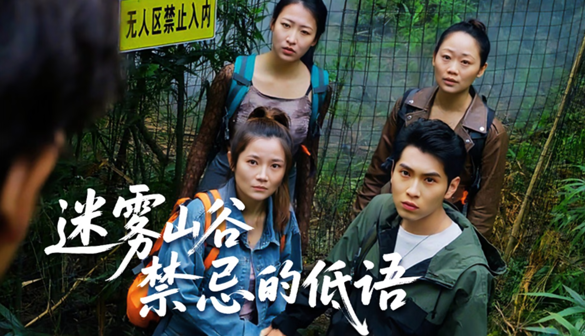 迷雾山谷禁忌的低语