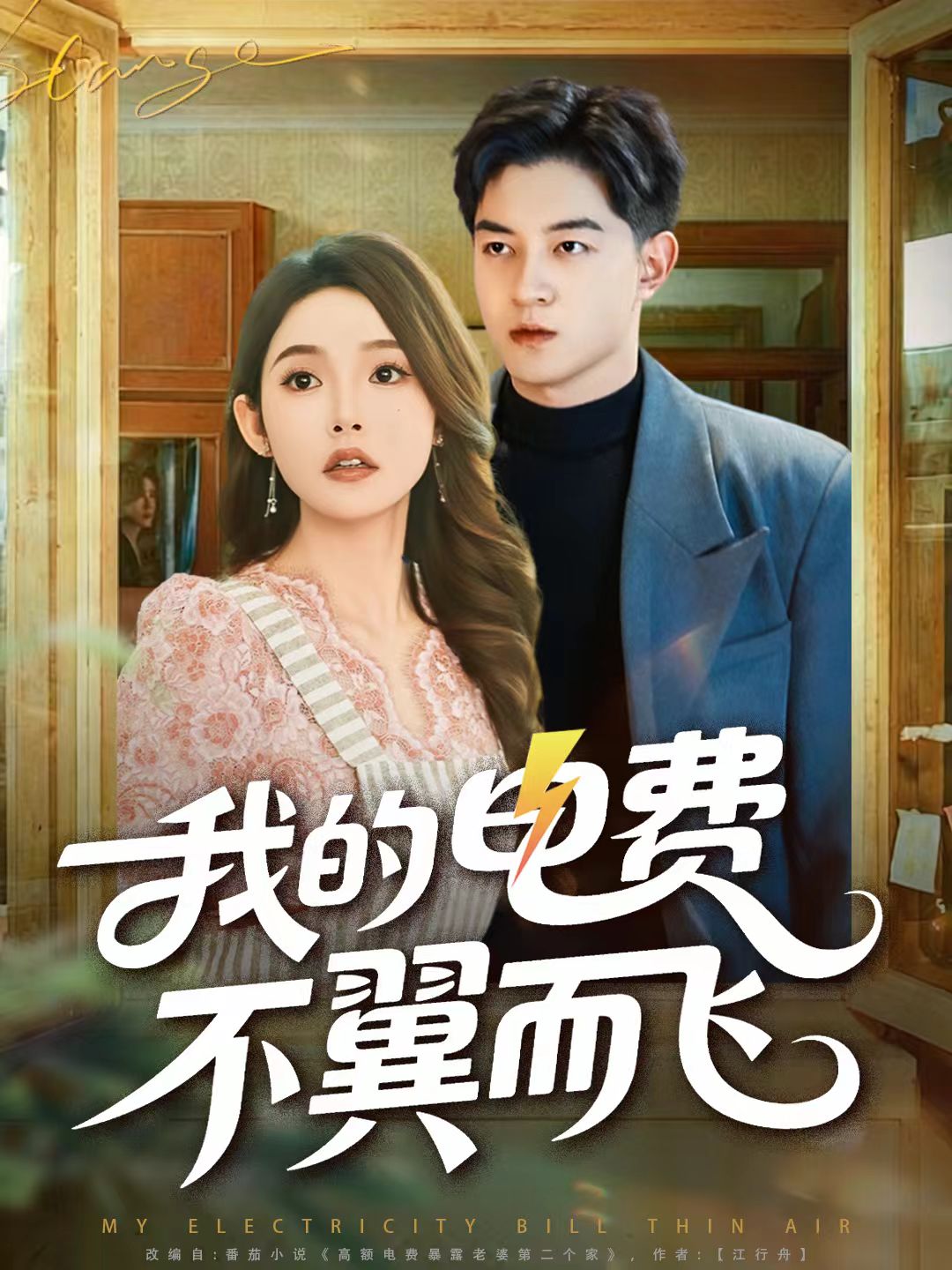 我的电费不翼而飞$贺龙天＆杨莯