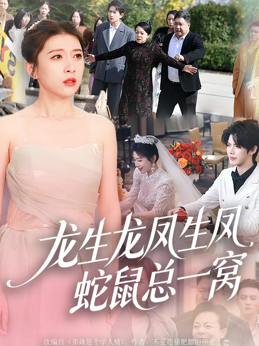 龙生龙凤生凤，蛇鼠总一窝$曹淼＆牛韵暄