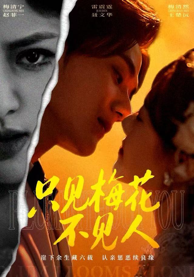 只见梅花不见人$聂文华/王楚沅