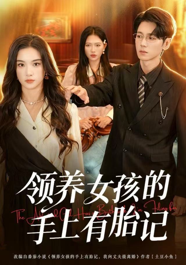 领养女孩的手上有胎记$王宇婧/刘君尧