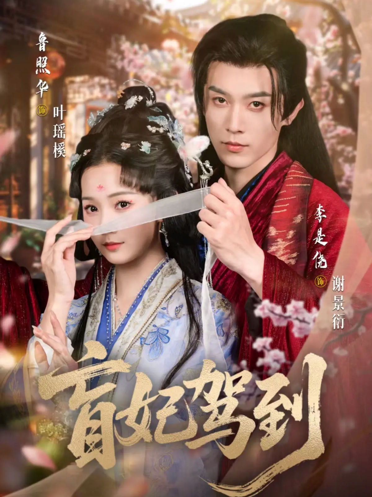 盲妃驾到$鲁照华＆李是侥