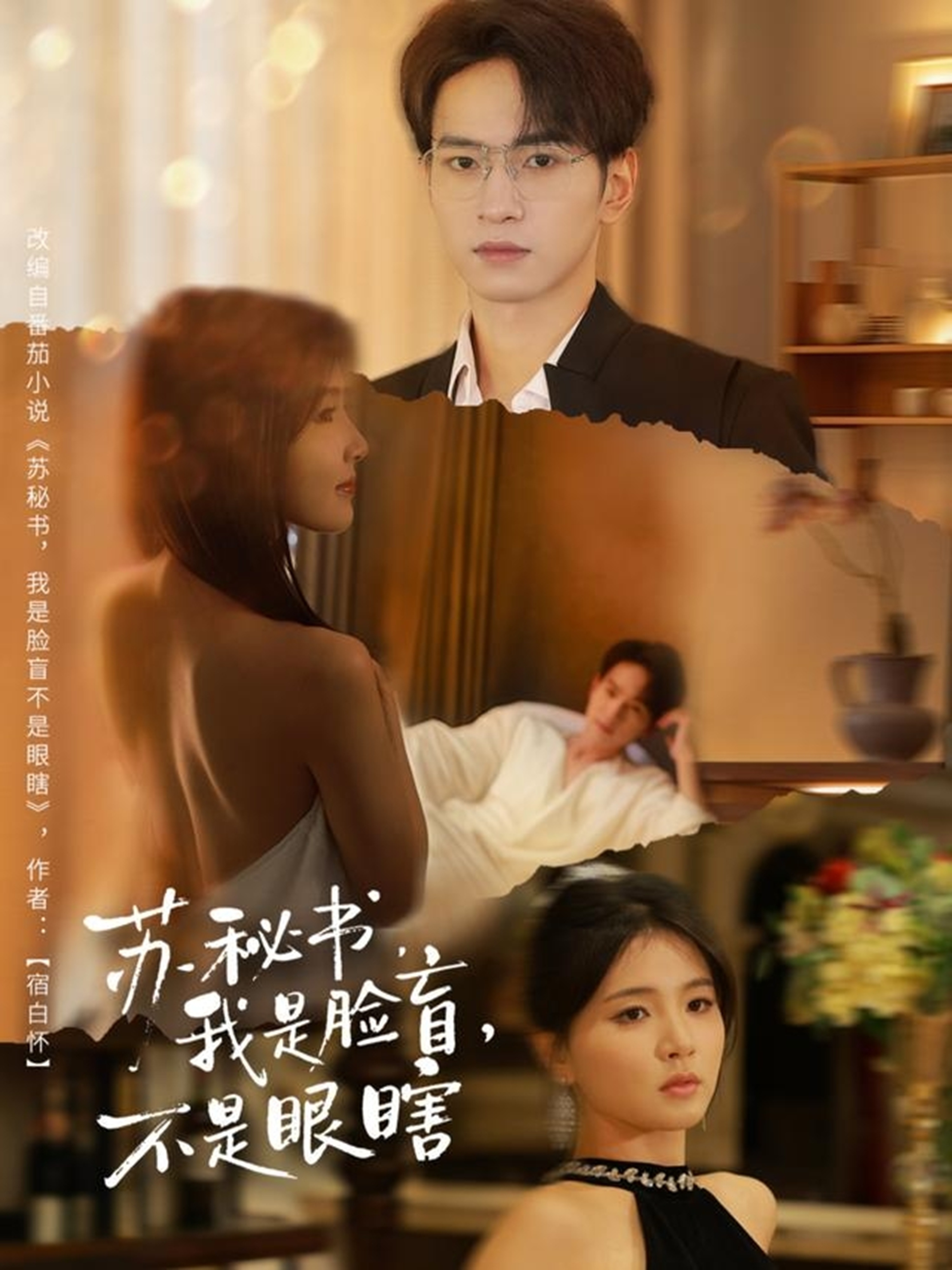 苏秘书我是脸盲不是眼瞎$朱礼仪＆张许焓