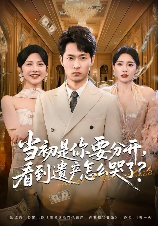 当初是你要分开，看到遗产怎么哭了？$霍俊全＆金珊＆曹瑶佳短剧
