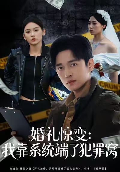 婚礼惊变：我靠系统端了犯罪窝$郏元栋/李坤怡