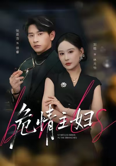 危情主妇$刘晗/张恩浩/邱潇