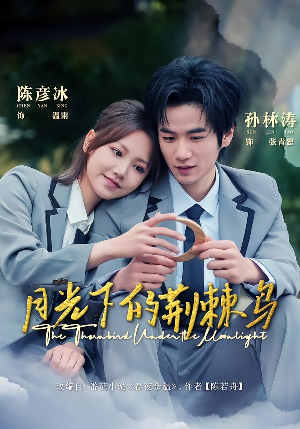 月光下的荆棘鸟$陈彦冰＆孙林涛