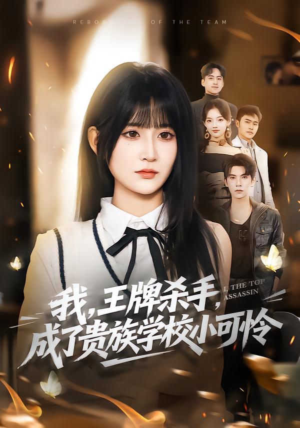 我，王牌杀手，成了贵族学校小可怜＆我王牌杀手成了贵族学校小可怜$吴宇航＆杨珊子