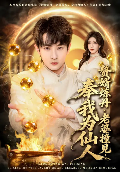 短剧《赘婿炼丹，老婆撞见，奉我为仙人$童家豪/李伊琳》